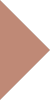Reddish Brown Triange