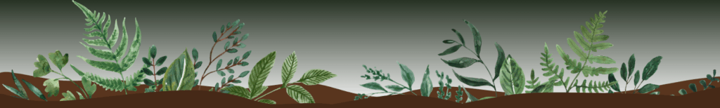 1745432576890-ferns+and+stuff 1745432576890-ferns+and+stuff